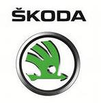 фирменный логотип компании Skoda Auto
