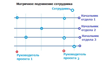 Таблица матричная структура управления 